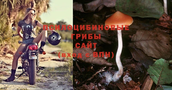 гидра Балабаново